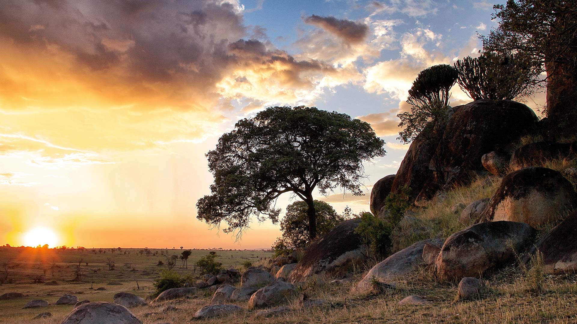 Serian-Serengeti-North-Wildlife-9