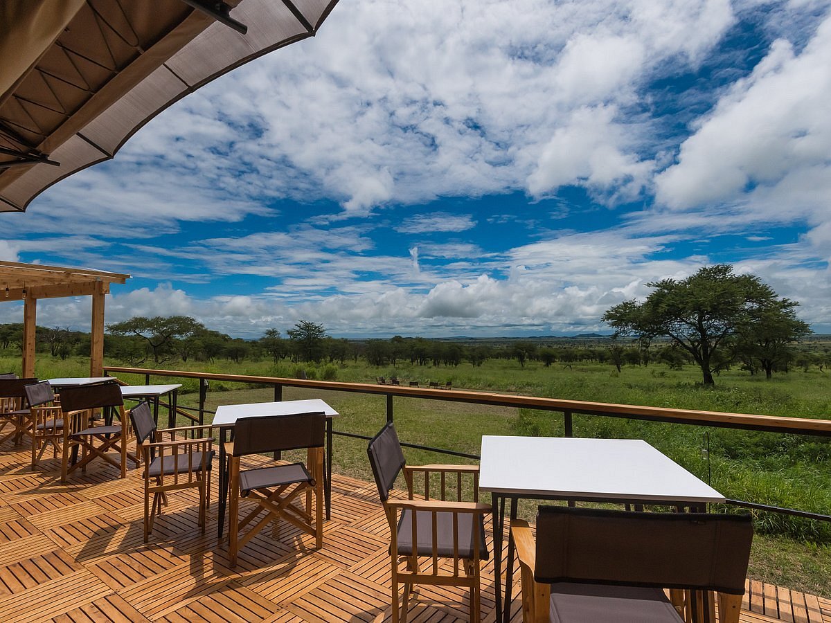 Dunia Camp – Women-Led Safari Camp in Central Serengeti