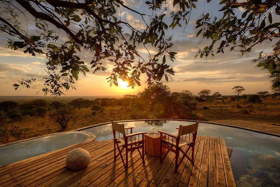 serengeti-bushtops=401095-300