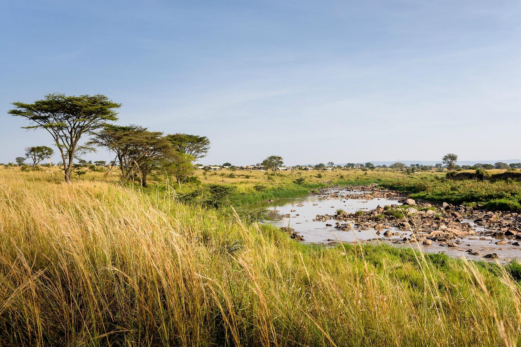 singita-mara-river-tented