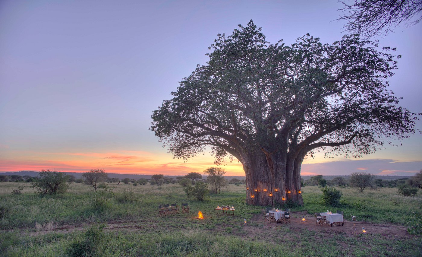 Tarangire Ndovu Tented Lodge | Safari Camp Inside Tarangire National Park