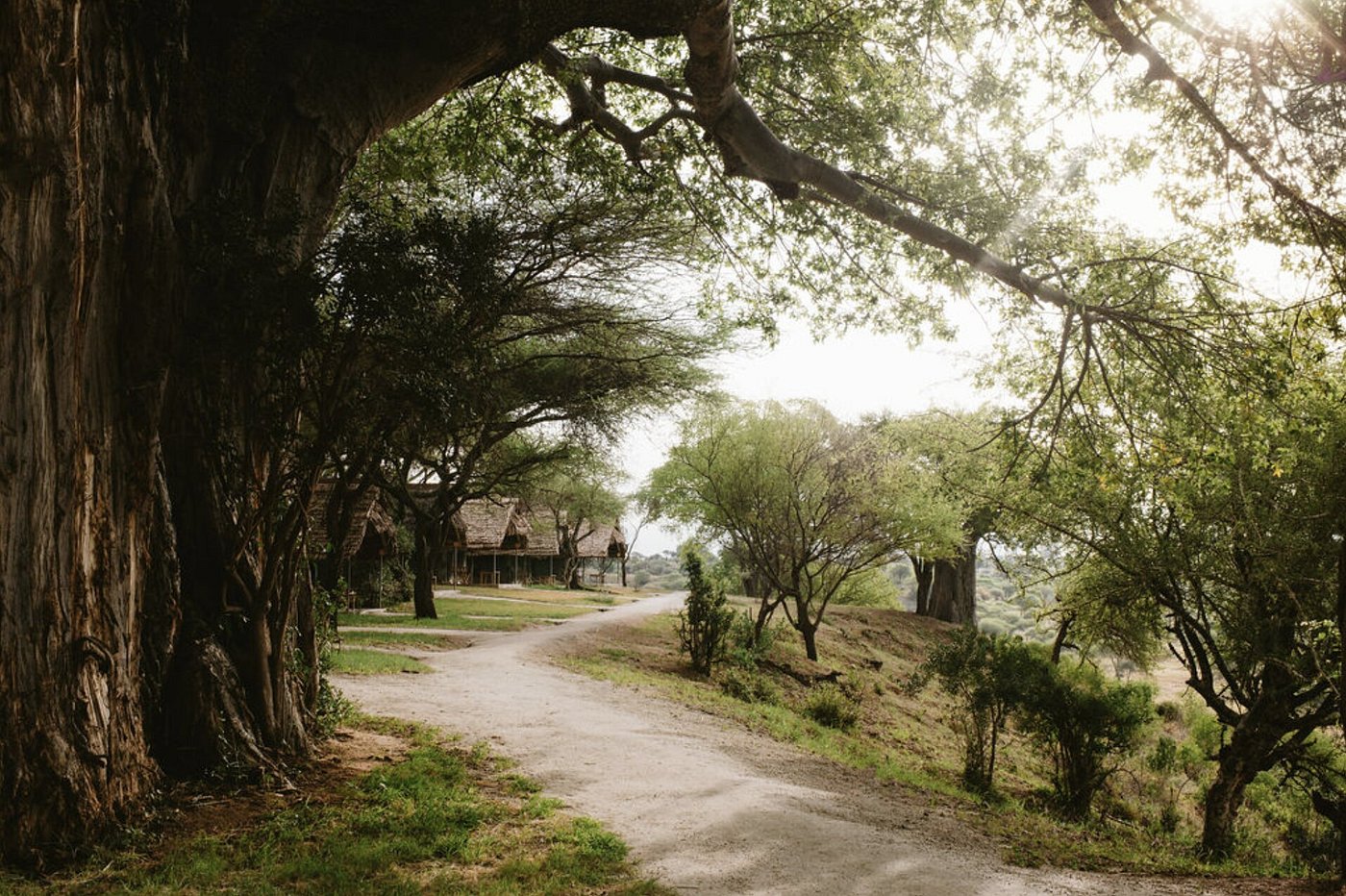 tarangire-safari-lodge (1)
